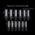 Dual tipse 01 za poly gel-1-Beauty Shop