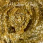 Golden-Touch-Paint-Gel-5g-1-Beauty Shop