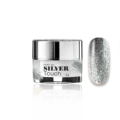 Silver-Touch-Paint-Gel-5g-Beauty Shop