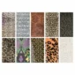 folia-box-06_02