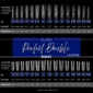 tipse za polygel perfect double -1-Beauty Shop
