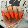 BL trajni lak-312-1-Beauty Shop