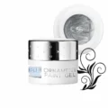 Ornament-Paint-Gel-56-silver-Beauty Shop