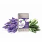 Morgan-Taylor-manikura-pedikura-u-4-koraka-lavanda-kadulja-1-Beauty Shop