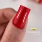 Celebration-Beauty Shop-3